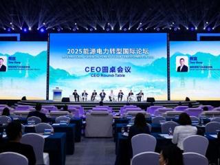 施耐德电气出席2025能源电力转型国际论坛，以科技创新助力新型电力系统建设