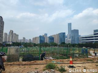 打工人变身菜农，济南CBD旁藏着一片开心农场