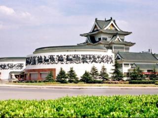 遇见世界最大象，感受竹影兰风，在潍坊市博物馆纵享古今文化盛宴