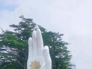 人到晚年才真正明白：亲情关系，最“现实”（实话实说）
