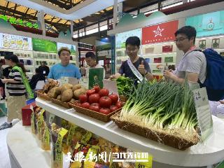 【天眼聚焦·长三角】带着露珠到沪的贵州蔬菜