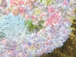 杭州永福寺绣球花瓣水池太火了 很多人慕名赶来，把手机伸到水下……
