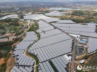 互联中国公益行动｜住在“幸福里” 增收致富忙