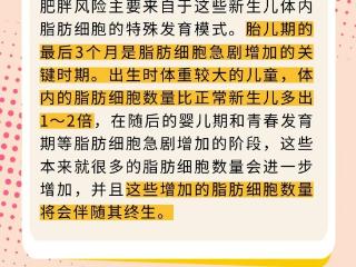 减重如此艰难？那些年胖过的自己，为何还在影响现在的你