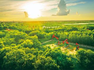 为中国式现代化建设加“油”争“气”——中国石油2024年度企业社会责任报告发布