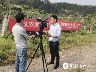 【嗨！贵州新农人】植保飞手：无人机让山地农业“开挂”
