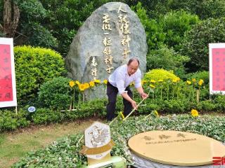 袁隆平逝世4周年，家人在墓前种下22株向日葵
