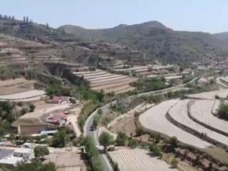 “科学防控+精准服务”各地积极应对旱情 保障高温天气农业生产