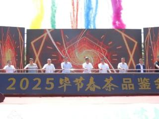 茶香四溢！毕节 27 家茶企齐聚天河广场 共赴 2025 春茶品鉴盛宴