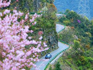 精品民宿村培育行动何以让宣城成为旅居目的地？
