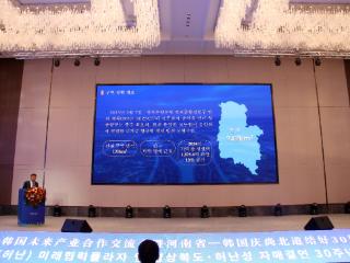 郑州航空港区亮出“国际牌” 中韩合作交流会释放产业新动能