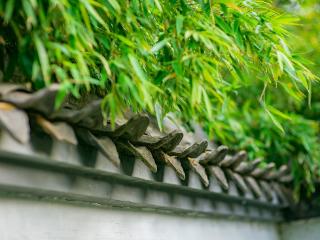 临沂：书法广场仿古建筑