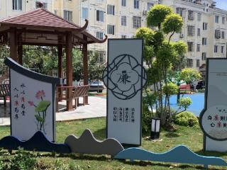 彩莲社区：打造廉洁文化阵地，清风拂面润民心