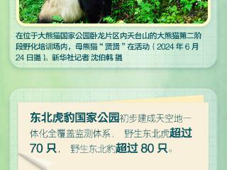 生物多样性保护，中国正徐徐展开亮眼画卷