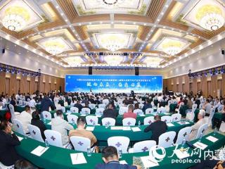 内蒙古新能源汽车产业链绿色升级：链动未来 协同共赢