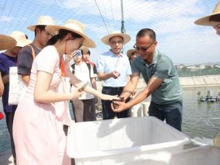 集美大学：小院里品悟大道理