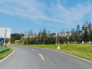 准备跑马拉松的人，赛前一个月如何做好科学补给？