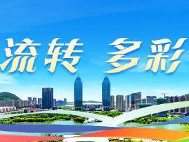 四季流转 多彩枣庄｜麦浪翻涌绘绿波 台儿庄万亩麦田美如画