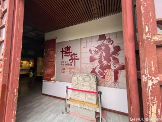 “博弈”象棋文化与体育精神展在泰安岱庙开展，开启象棋文化活动新篇章
