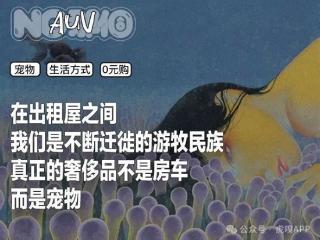 年轻人的新型领养：在超市捡海底小鼻嘎
