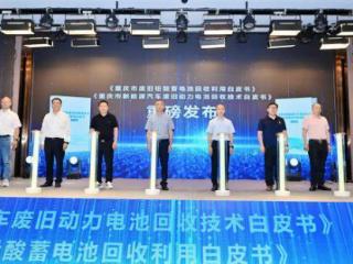 助力建设“无废城市” 重庆市废旧电池产业协会在沙坪坝区成立