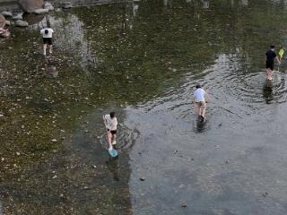 小叶医探 | 警惕！一只螺体内可以藏匿多达6000条寄生虫