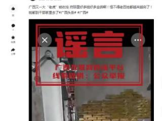 广西贪官家中发现大量金砖？假