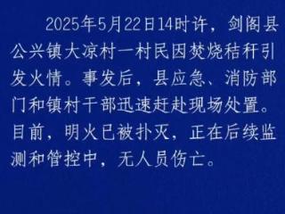 四川剑阁山火系一村民烧秸秆引发 无人员伤亡