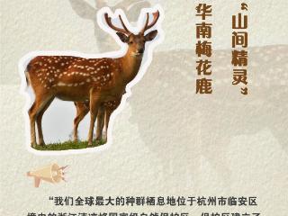 国际生物多样性日｜听听“浙”些珍宝们的独白