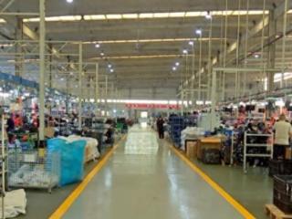 泰州外贸“加速跑”，欧盟市场成强劲引擎