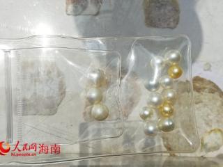 核电与生态共融培育珍珠 海南创新“核能+生态”发展模式