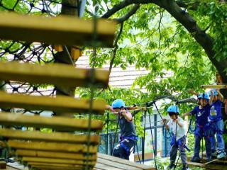 古院绿意浓 一所小学的生态教育实践