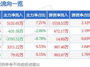 雷电微力（301050）5月22日主力资金净买入5131.01万元
