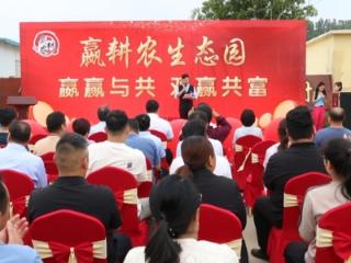 济南市莱芜区羊里街道：生态田园绘新篇 乡村振兴添动能