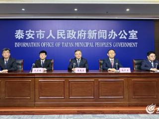 泰安市大数据局：深化数据要素市场化配置改革 加快释放数据要素价值