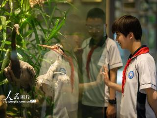 甘肃张掖：科普研学 保护生物多样性