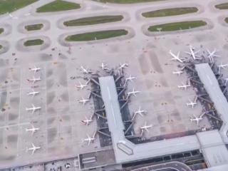 稳步提升！4月我国航空运输规模增势良好 国际航线表现亮眼