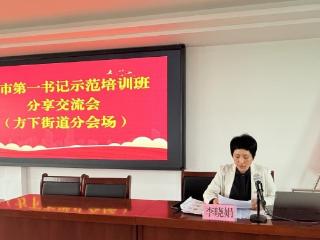 思想碰撞促提升 经验共享谋振兴——济南市莱芜区方下街道开展济南市第一书记示范培训班分享交流会