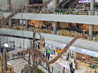 AI新闻日历：五卅运动百年纪念，多项新规6月1日施行