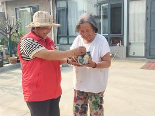 临沭县蛟龙镇：粽香传递温情 弘扬敬老风尚