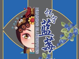 “怀宁蓝莓”统一标识发布