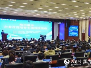 哈尔滨市企业首贷培育专场对接活动成功举办