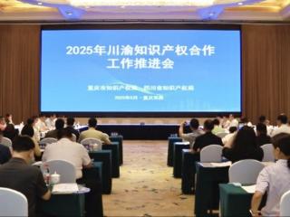 川渝“老字号”知识产权协作有了“行动指南”