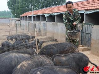 潍坊诸城：俺村有个“兵支书” 让“后进村”蜕变成“明星村”