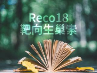 高龄备孕女性的烦恼：高龄备孕吃什么补卵巢