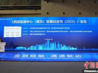 西部陆海新通道金融服务联合体扩容 总成员增至78家
