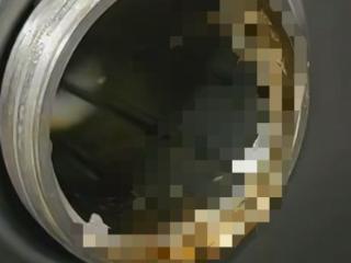 家长反映学校食堂机器出现大量虫子 余姚市多部门回应：已去现场处理