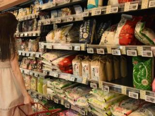 大米竟成日本游客赴韩旅游“纪念品”
