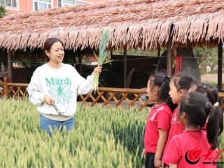 利津县第二实验幼儿园欢乐收麦忙