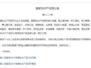 黄粑、脆桃、苕粉......贵州新增6个国家地理标志保护产品